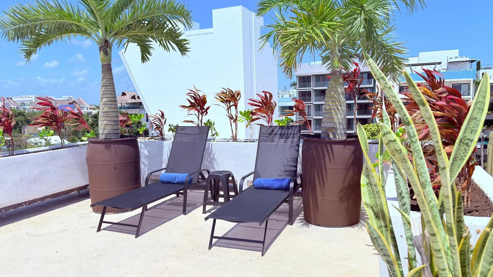 Reina Roja Hotel Playa del Carmen