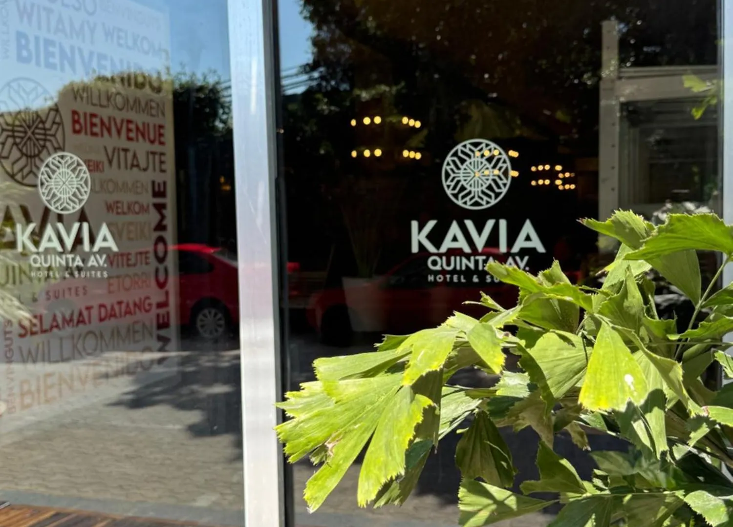 Hotel Kavia 5Th Avenida (Adults Only) Playa del Carmen 4*,