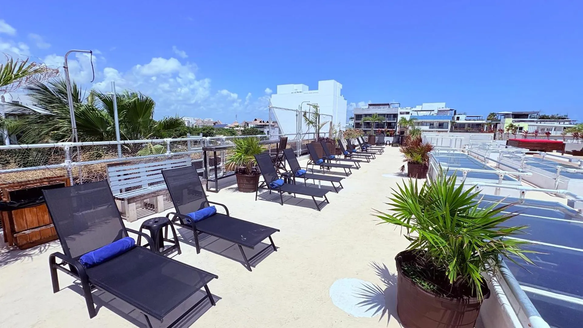 Hotel Kavia 5Th Avenida (Adults Only) Playa del Carmen