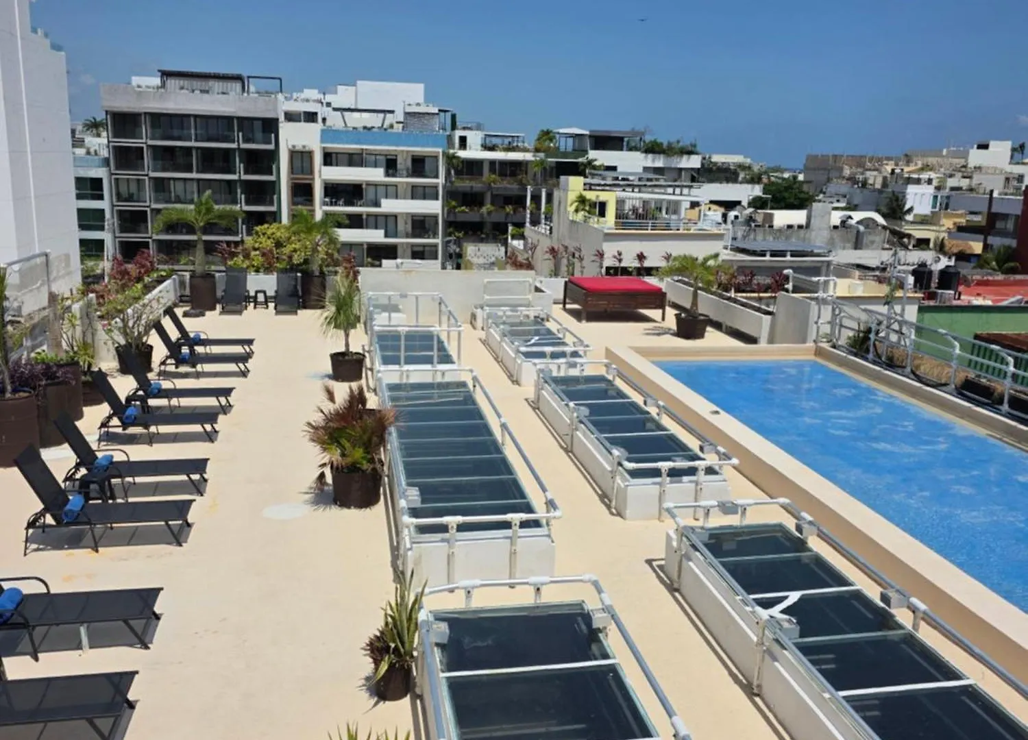 Hotel Kavia 5Th Avenida (Adults Only) Playa del Carmen